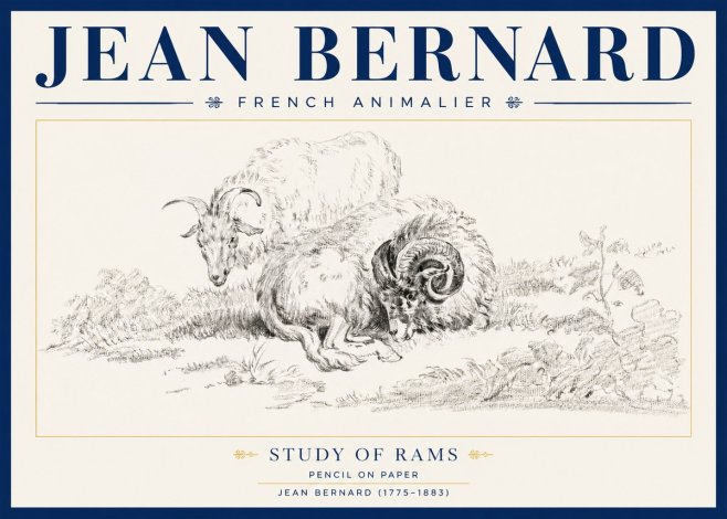 Jean Bernard Study of Sheep No4 - Plakat