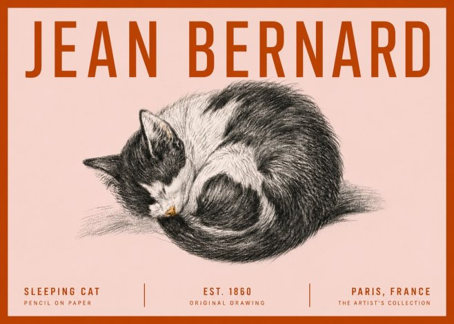 Jean Bernard Sleeping Cat VIII No5 - Plakat