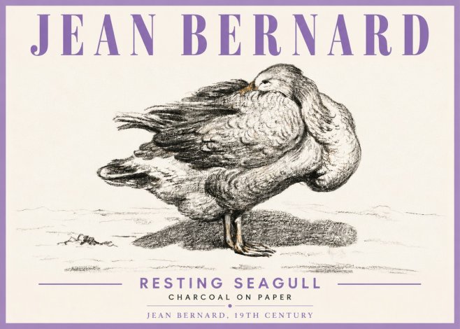 Jean Bernard Resting Seagull No6 - Plakat