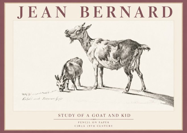 Jean Bernard Study of a Goat and Kid No5 - Plakat