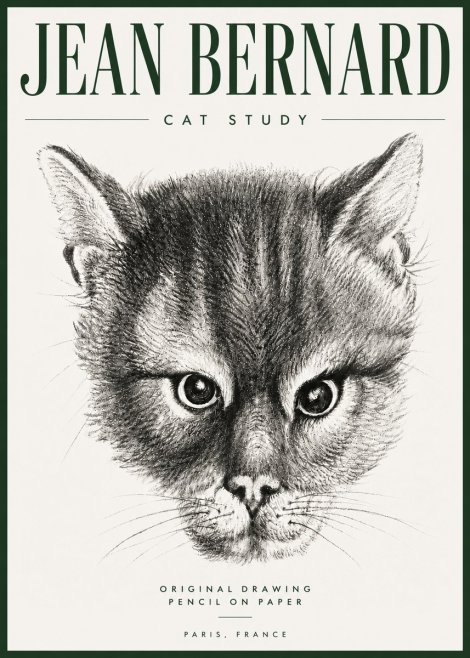 Jean Bernard Cat Study. Original Drawing No5 - Plakat