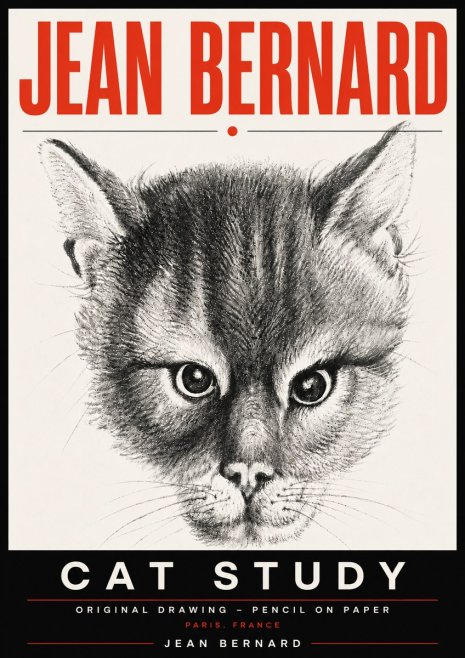 Jean Bernard Cat Study. Original Drawing No6 - Plakat