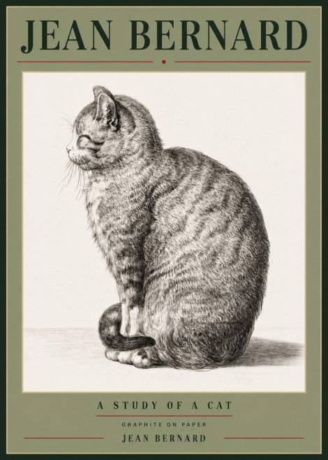 Jean Bernard Cat in Profile No6 - Plakat