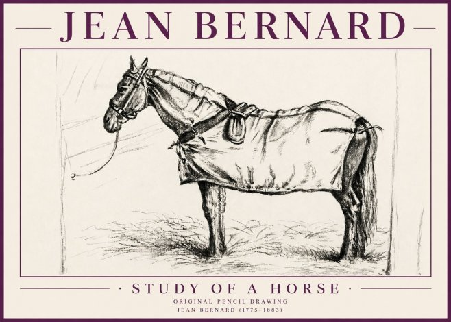Jean Bernard Study of a Horse XI No4 - Plakat