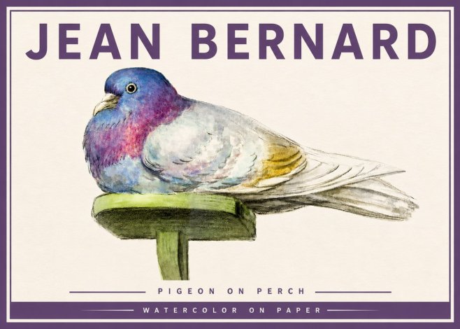 Jean Bernard Pigeon on Perch No4 - Plakat