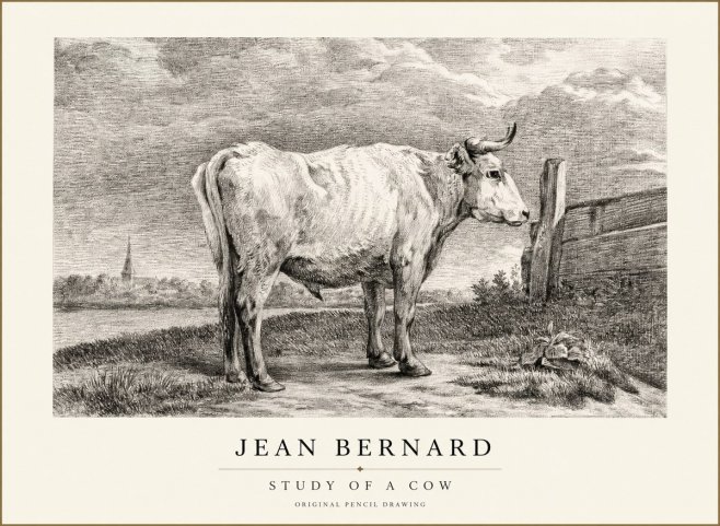 Jean Bernard Study of a Cow XV No1 - Plakat