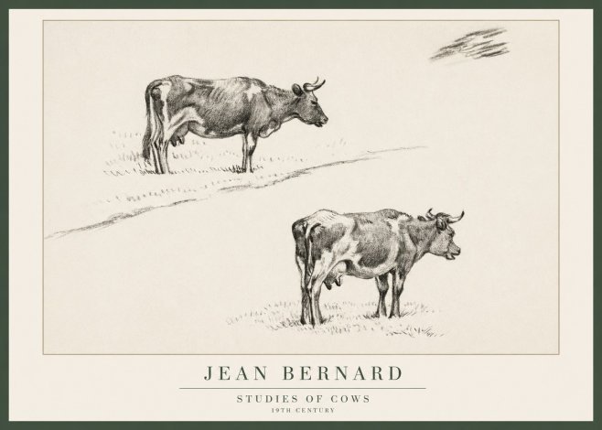 Jean Bernard Studies of Cows III No1 - Plakat