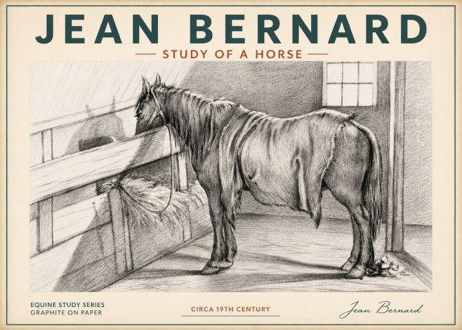 Jean Bernard Study of a Horse XIII No4 - Plakat