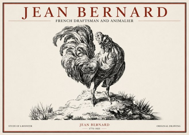 Jean Bernard Study of a Rooster No1 - Plakat
