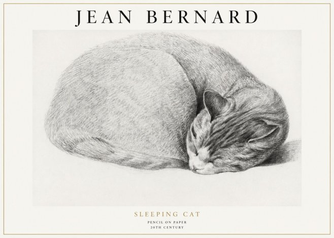 Jean Bernard Sleeping Cat IX No1 - Plakat