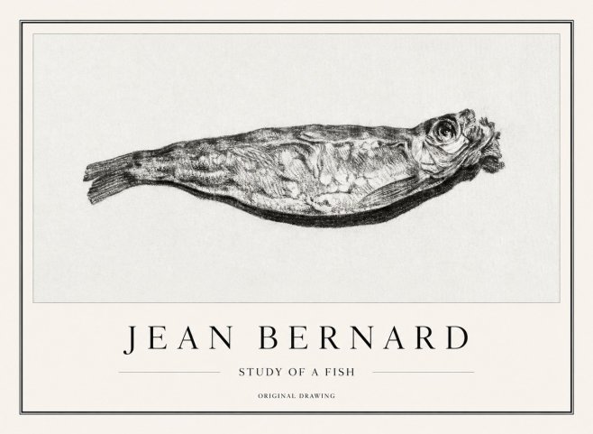 Jean Bernard Study of a Fish V No1 - Plakat