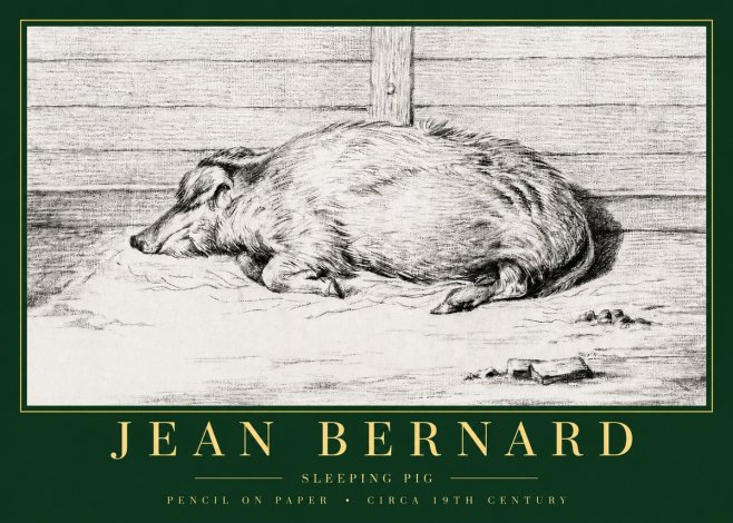 Jean Bernard Sleeping Pig I No3 - Plakat