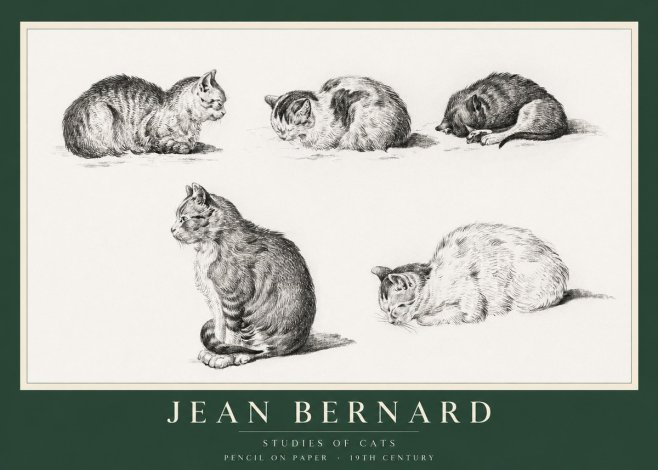 Jean Bernard Studies of Cats No1 - Plakat