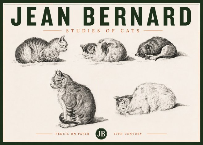 Jean Bernard Studies of Cats No4 - Plakat