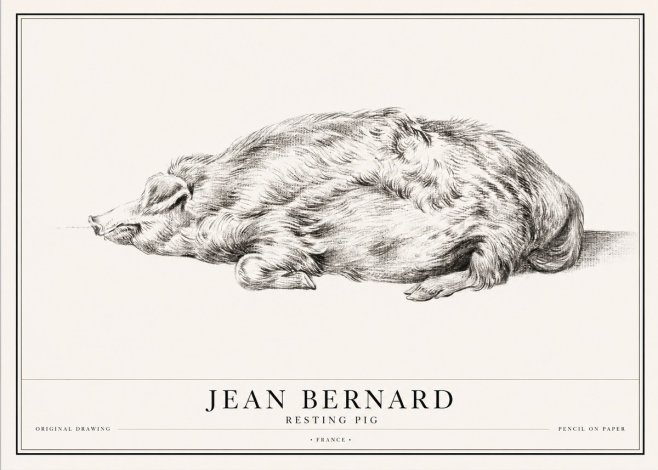 Jean Bernard Resting Pig II No1 - Plakat