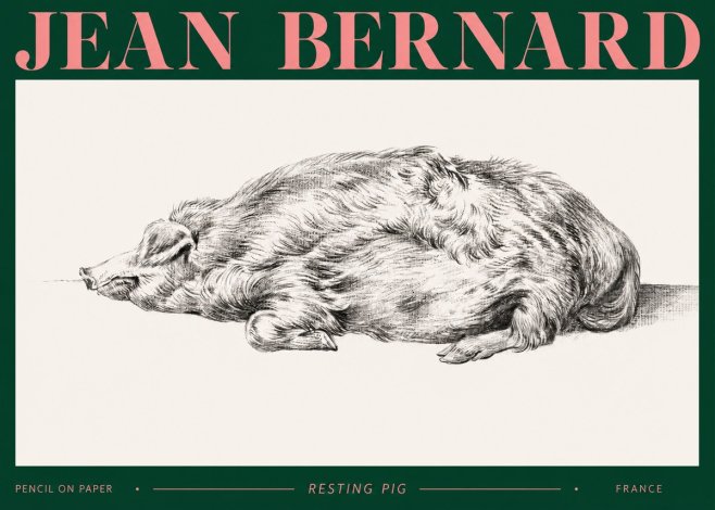 Jean Bernard Resting Pig II No2 - Plakat