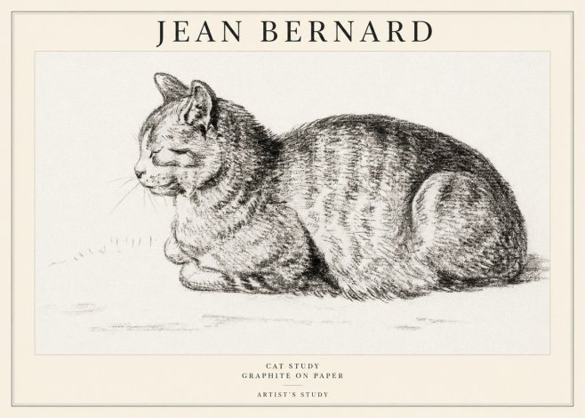 Jean Bernard Cat Study XII No1 - Plakat