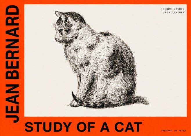 Jean Bernard Study of a Cat IV No6 - Plakat