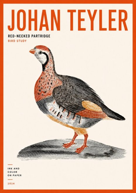 Johan Teyler Red-necked Partridge No5 - Plakat