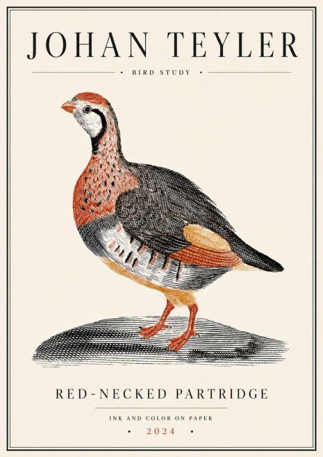 Johan Teyler Red-necked Partridge No6 - Plakat