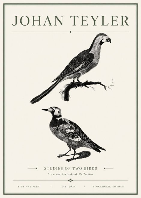 Johan Teyler Birds - Study of Two Species No6 - Plakat