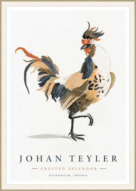 Johan Teyler Crested Splendor No1 - Plakat