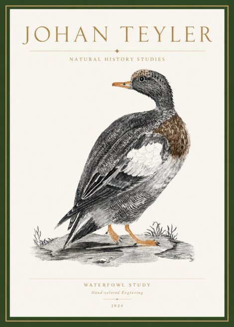 Johan Teyler Waterfowl Study No3 - Plakat