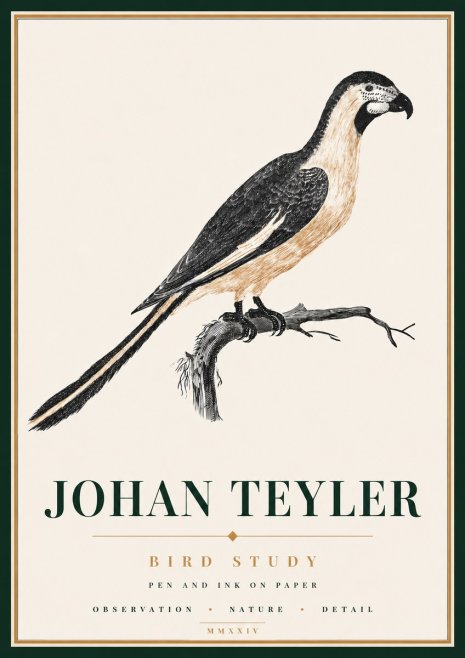 Johan Teyler Bird Study I No6 - Plakat