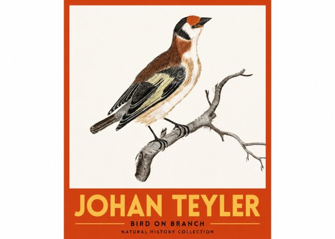Johan Teyler Song of the Finch No3 - Plakat