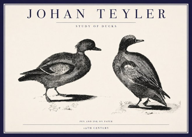 Johan Teyler Study of Ducks No3 - Plakat