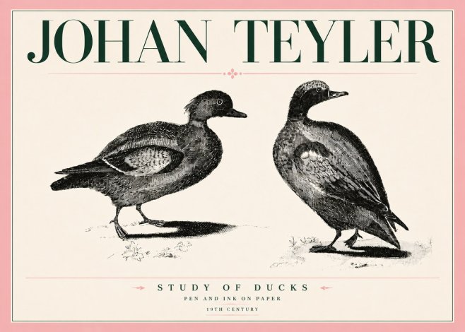 Johan Teyler Study of Ducks No5 - Plakat