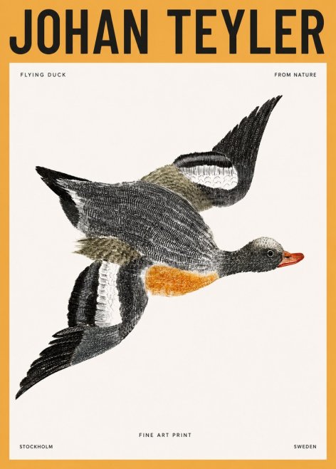 Johan Teyler Flying Duck No3 - Plakat