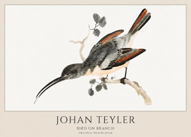 Johan Teyler Bird on Branch II No1 - Plakat