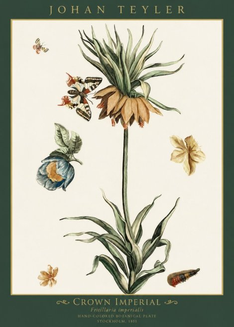 Johan Teyler Crown Imperial No1 - Plakat