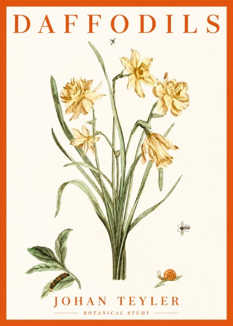 Johan Teyler Daffodils No2 - Plakat