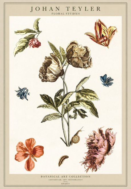 Johan Teyler Floral Studies No1 - Plakat