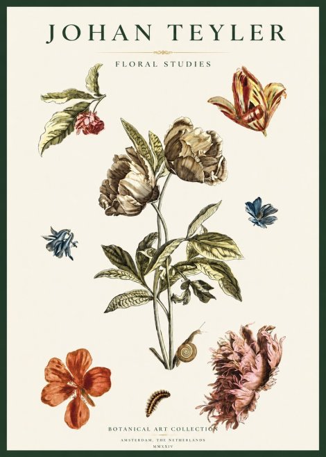 Johan Teyler Floral Studies No2 - Plakat