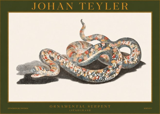 Johan Teyler Ornamental Serpent No1 - Plakat