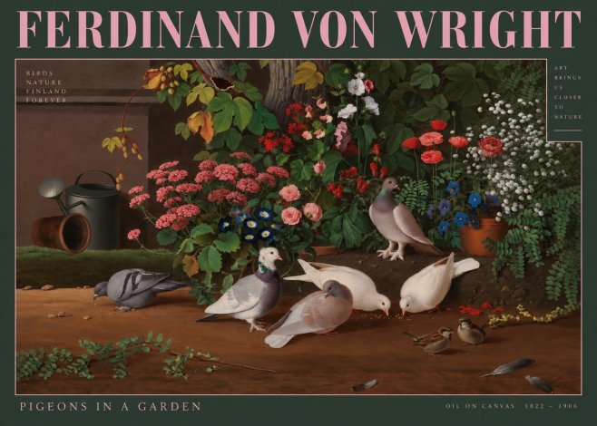 Ferdinand von Wright Pigeons and Flowers No3 - Plakat