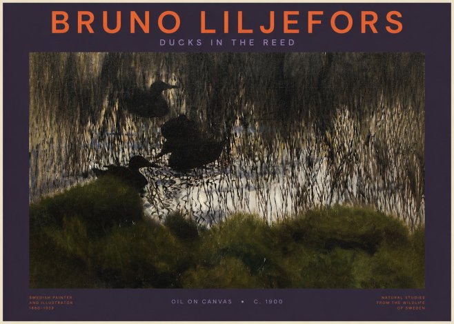Bruno Liljefors Ducks in the Reed No2 - Plakat