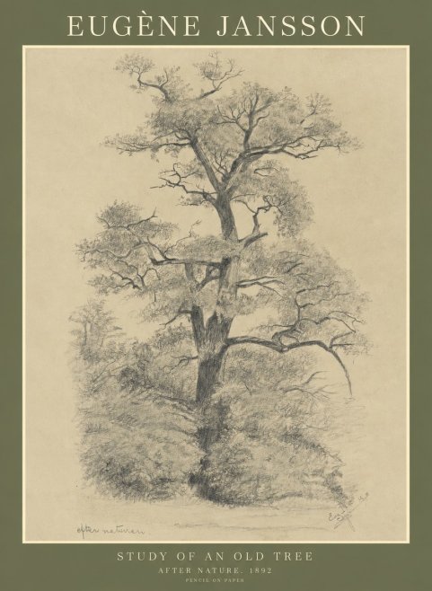 Eugène Jansson Study of an Old Tree No1 - Plakat