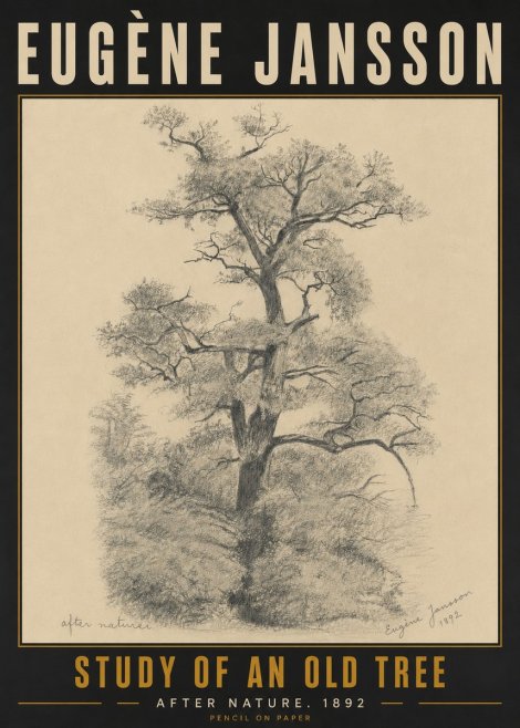 Eugène Jansson Study of an Old Tree No5 - Plakat
