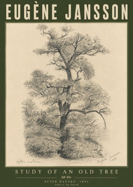 Eugène Jansson Study of an Old Tree No6 - Plakat