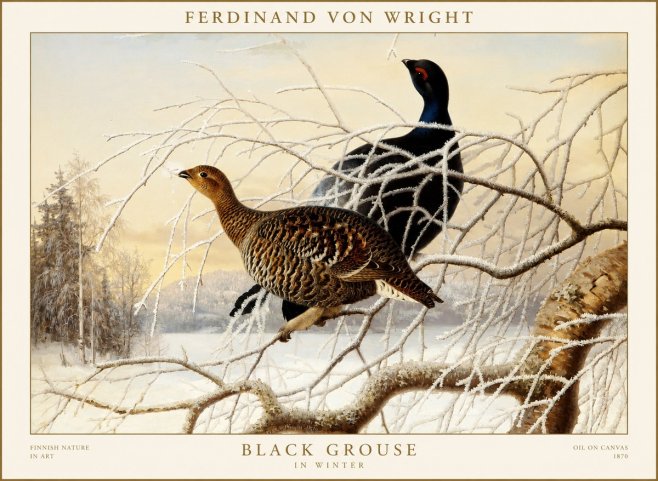 Ferdinand von Wright Black Grouse in Winter No1 - Plakat