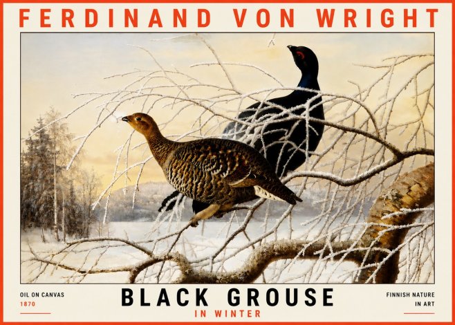 Ferdinand von Wright Black Grouse in Winter No5 - Plakat