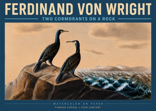 Ferdinand von Wright Two Cormorants on a Rock No3 - Plakat