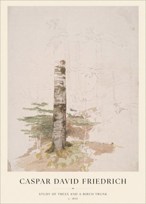Caspar David Friedrich Study of Trees and a Birch Trunk No1 - Plakat