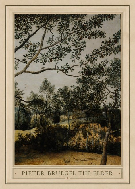 Pieter Bruegel Branch of a Pear Tree No1 - Plakat