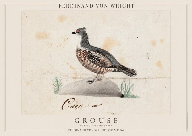Ferdinand von Wright Grouse No1 - Plakat