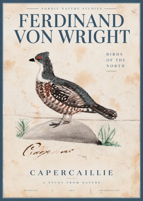 Ferdinand von Wright Grouse No5 - Plakat